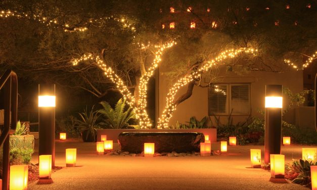 Q: What do I need to know in terms of electrics when fitting new lights in the garden?