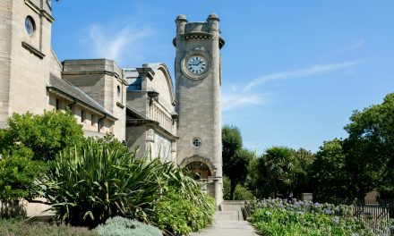 Focus appointed on Horniman Museum and Gardens Nature + Love project