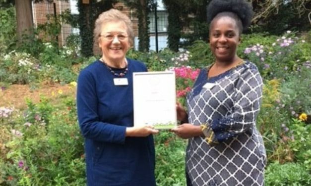 Inspirational” garden at Oadby based care home wins gold award following East Midlands in Bloom Awards 2022