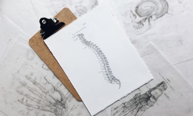 Tips on how to take care of your back