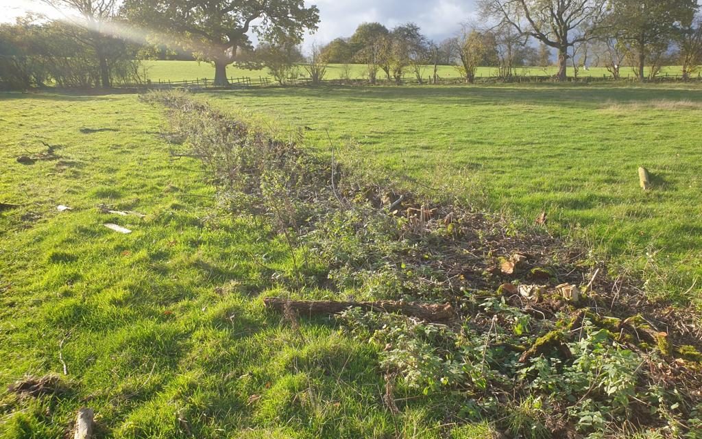 Legacy continues at Croots Farm Shop as coppicing gets under way