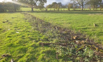 Legacy continues at Croots Farm Shop as coppicing gets under way