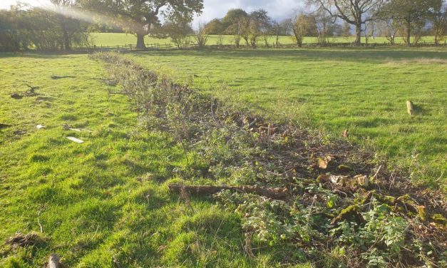 Legacy continues at Croots Farm Shop as coppicing gets under way