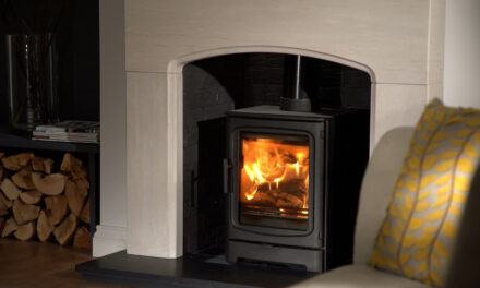 HETAS HOT TIP OF THE WEEK Cold Plug – Winter Safety Advice for Stove Users