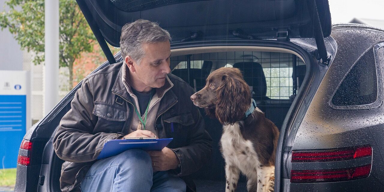 Dogs are more relaxed in electric cars than diesel cars, research finds