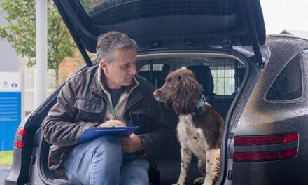 Dogs are more relaxed in electric cars than diesel cars, research finds