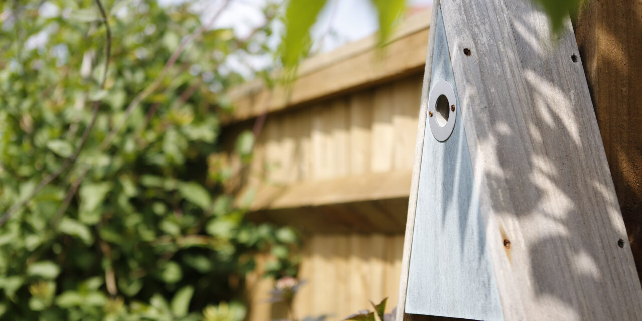 Derbyshire housebuilders’ online quiz takes flight again for National Nest Box Week