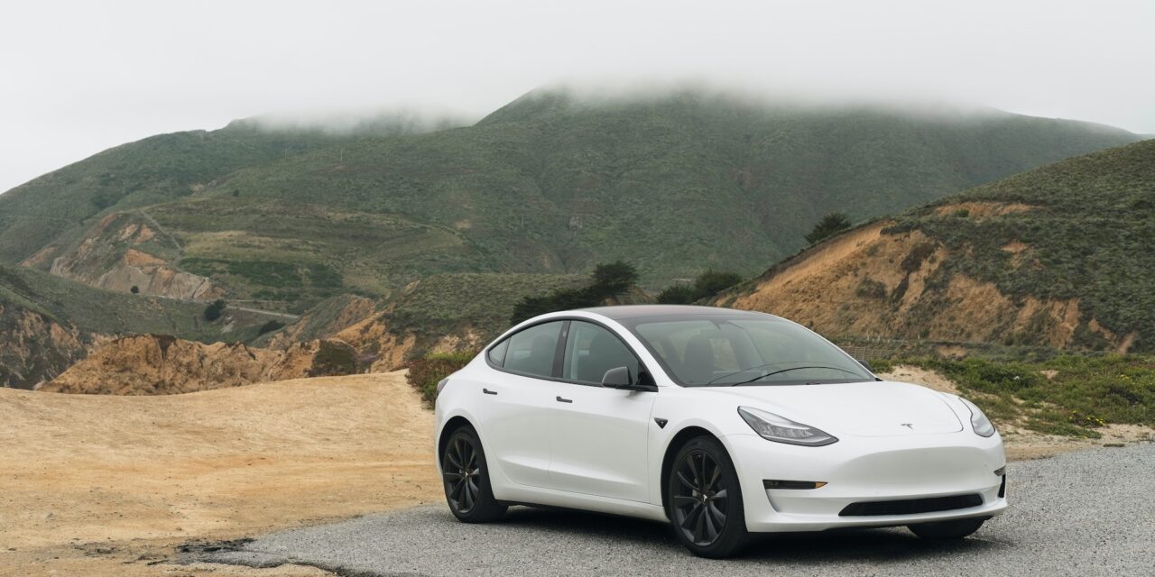 Things you did not know about the car brand Tesla