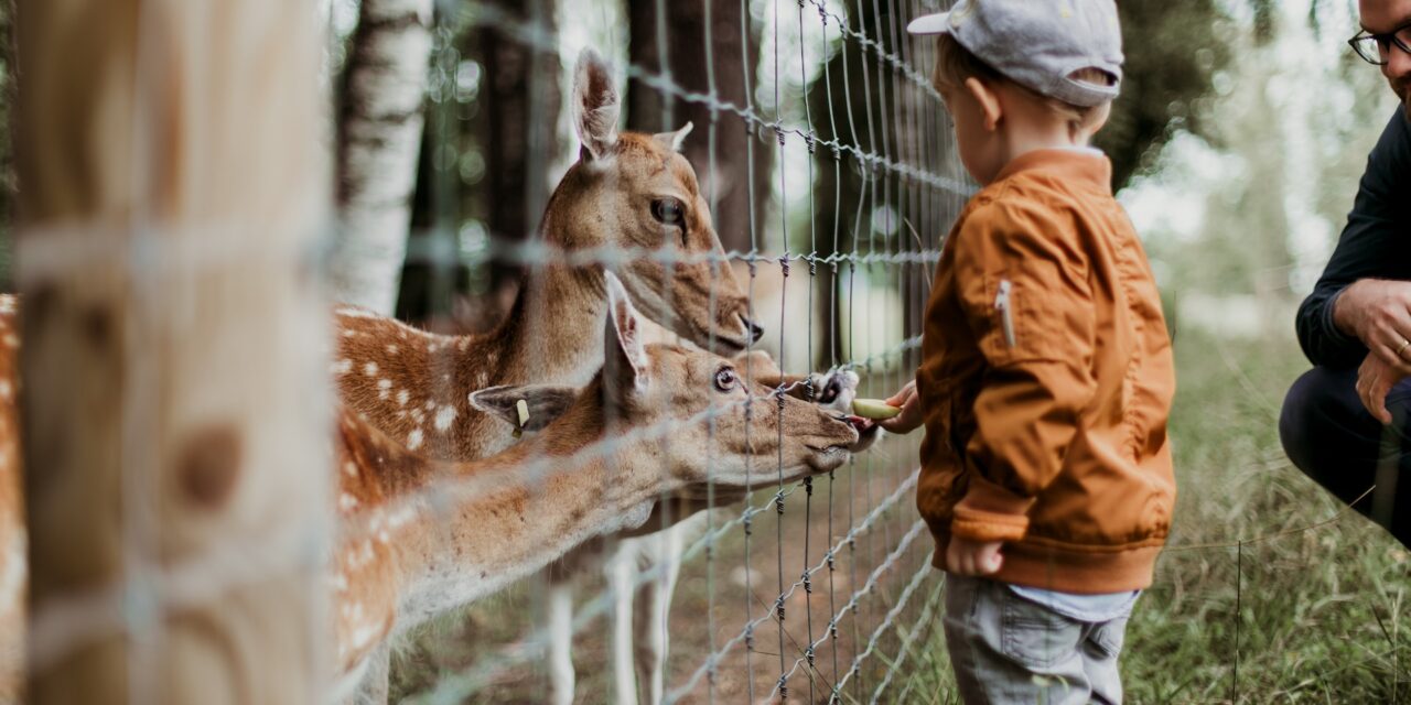 Best Zoos to visit in the UK