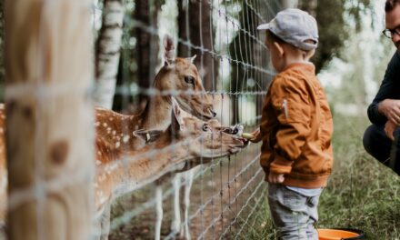 Best Zoos to visit in the UK