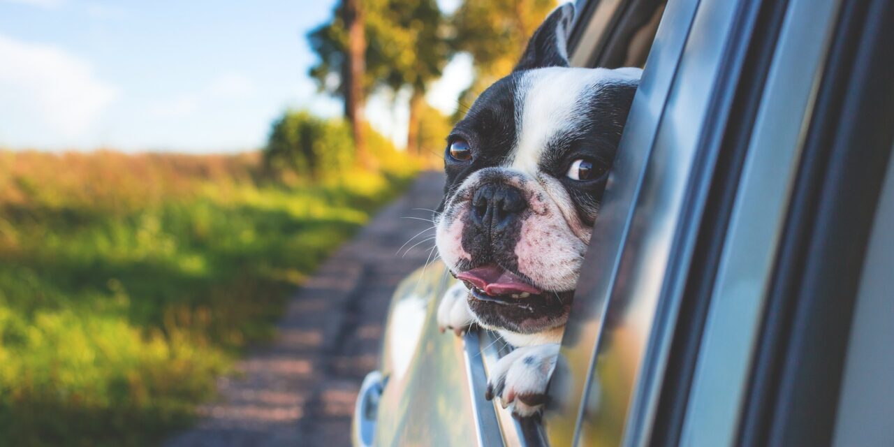 Round-trip Roadtrips With No Charge: The Best Bank Holiday Getaways by EV
