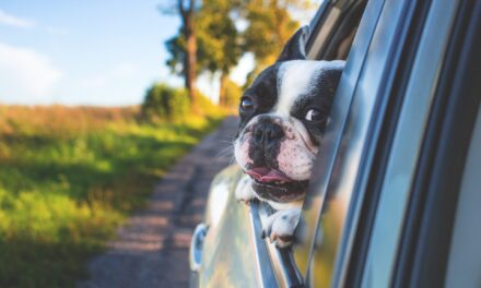 Round-trip Roadtrips With No Charge: The Best Bank Holiday Getaways by EV