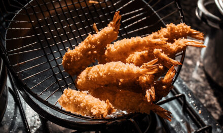 What to think about when Buying a Air Fryer?