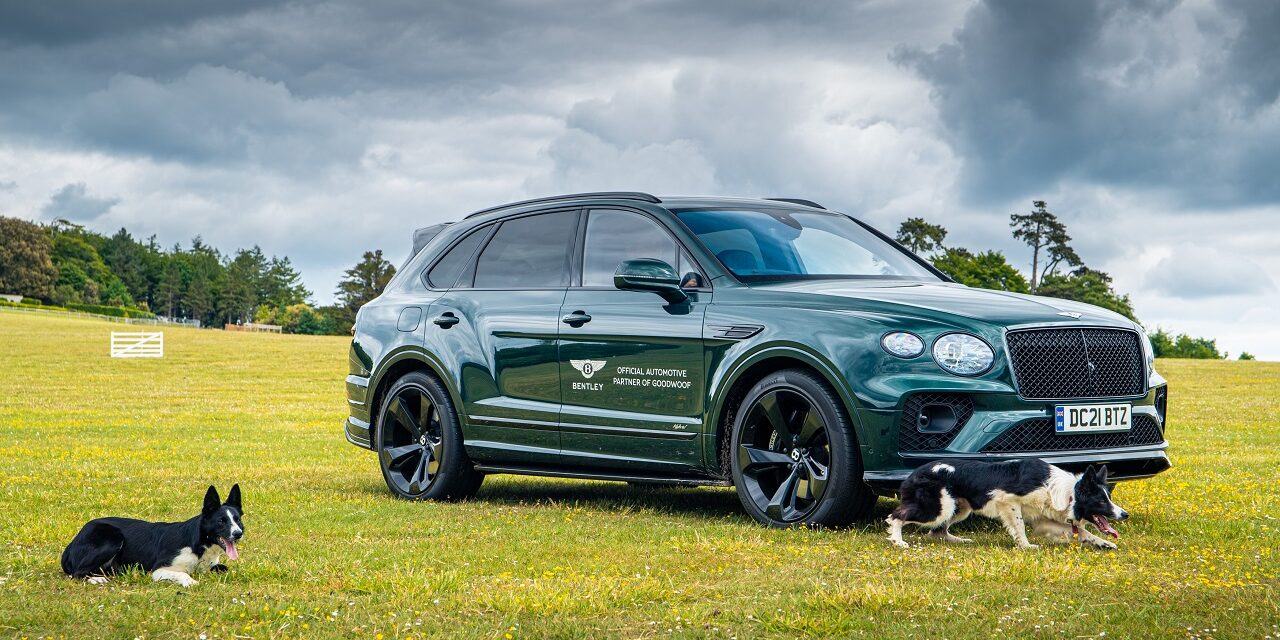 Bentley raises the woof at Goodwood’s Festival for dogs