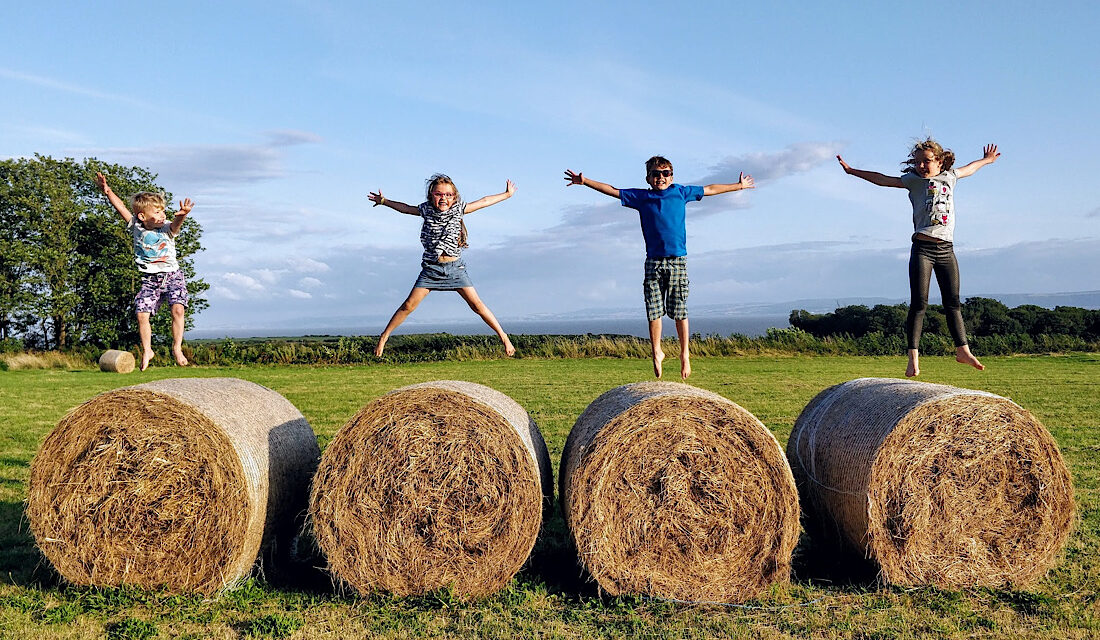 The Little Known Tip to Stopping Hay Fever in it Tracks