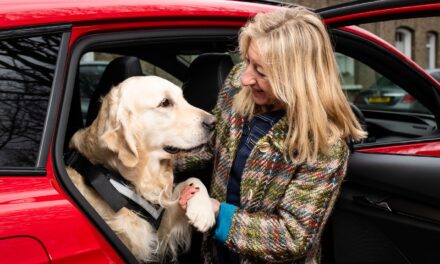 Hot dogs? No thanks! Keep your canines cool in the car as temperatures soar