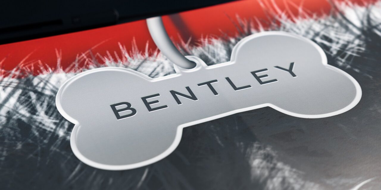 A rare breed of Bentayga: Bentley the Sheepdog shows off a special coat for Goodwoof