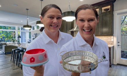 Twin Sisters Swap Chalkboards for Cat Care as they Launch The Cat Butler to Pamper Feline Friends across Derby
