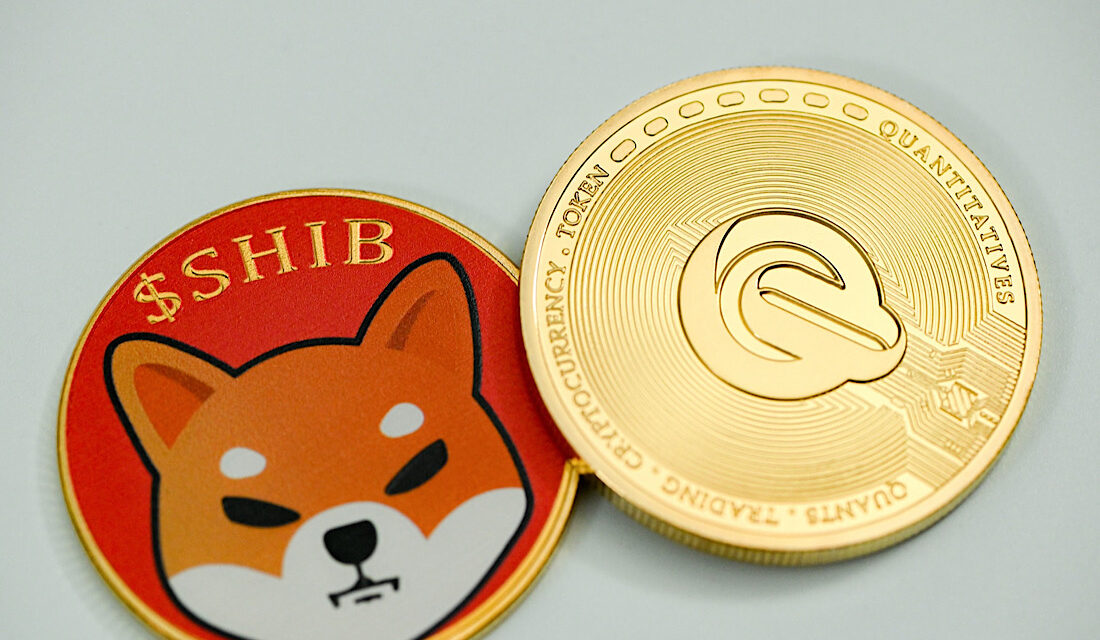 Fact file: Shiba inu