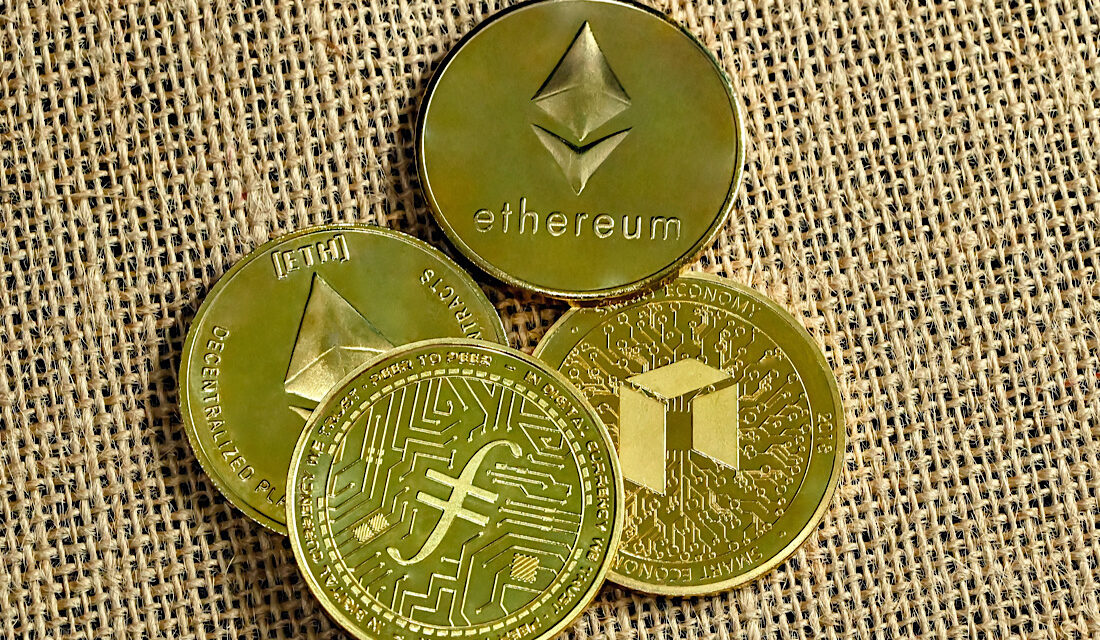Fact File: MultiversX Coin