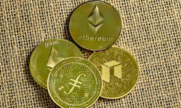 Fact File: Immutable Coin