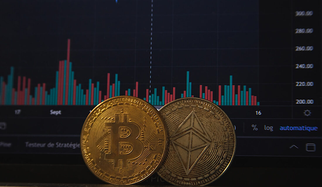 Fact File: The Sandbox Coin