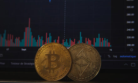 Fact File: The Sandbox Coin