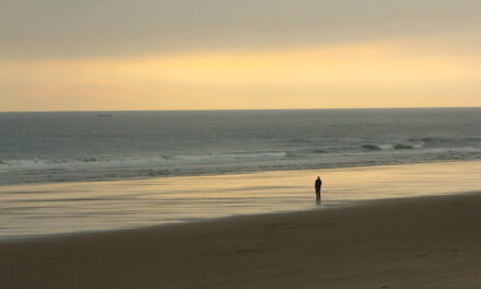 Where is Seahouses?