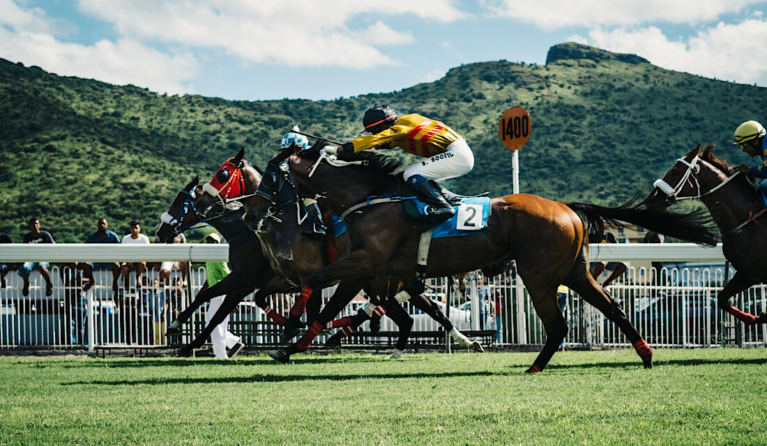 Famous Racing Horses in recent history