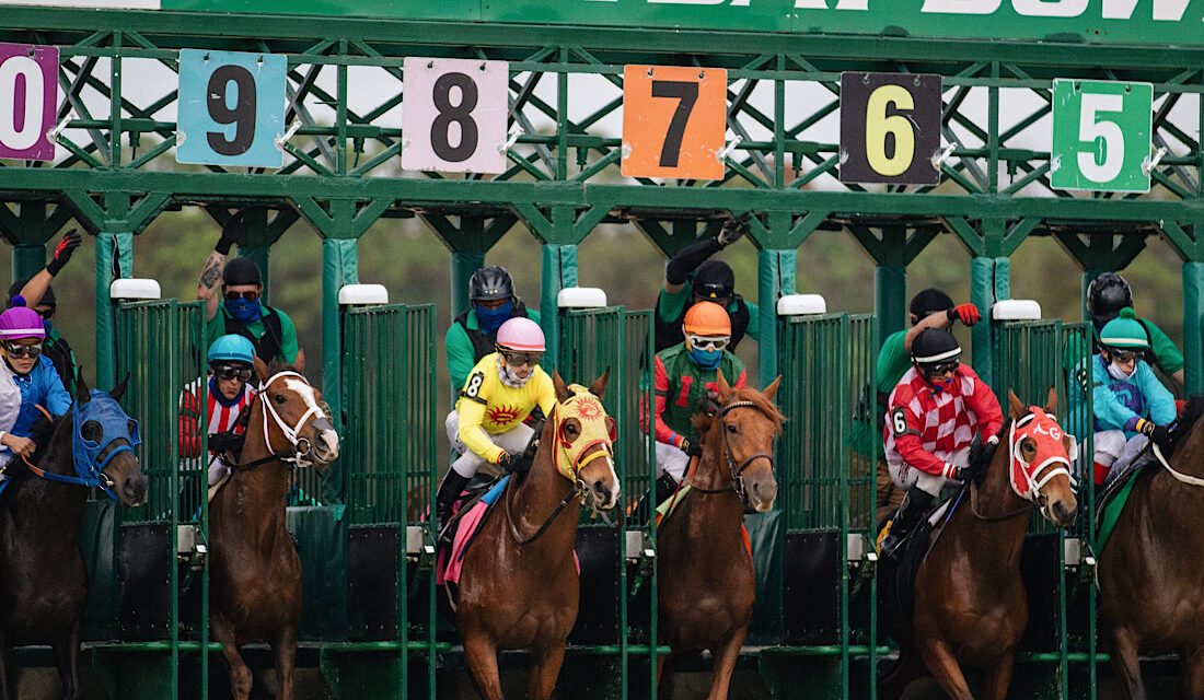 The Horse Racing Courses in West Midlands