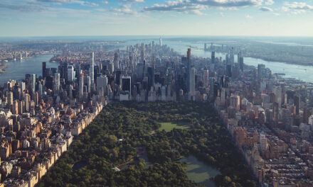 What do we know about New York City?