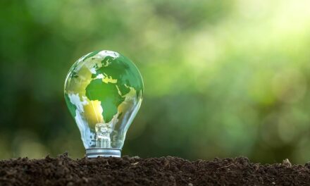 Frozen food distributor Central Foods switches to 100% green energy