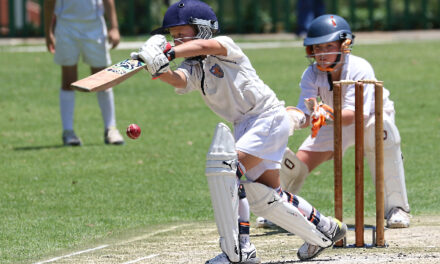 How can grassroot cricket players be kept safe from concussion?
