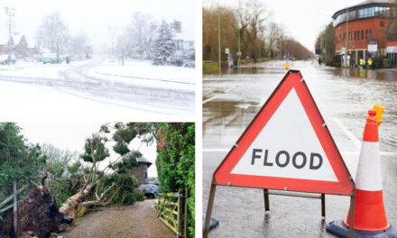 Not-for-profit insurer releases preparedness guide amidst rising weather risks