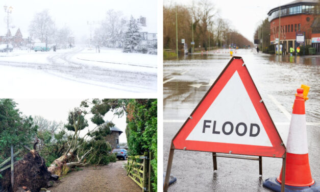 Not-for-profit insurer releases preparedness guide amidst rising weather risks