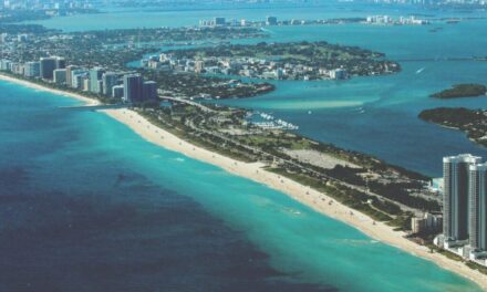 Miami Grand Prix – 5th Mat 2024