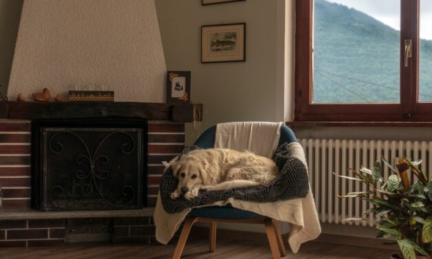 What is the UK Warm Home Discount Scheme and Do you Qualify for it?