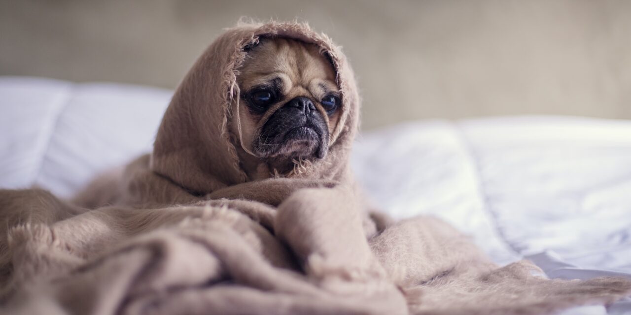 How to stay motivated on a cold and Dark Monday Morning.