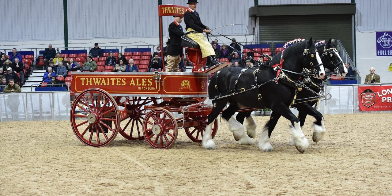 Big news as Shire Horse Show returns to Staffordshire Showground with exciting new programme