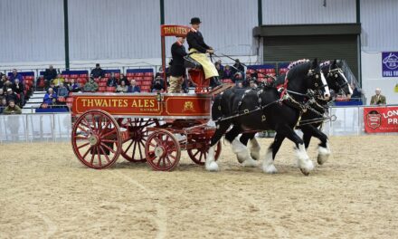Big news as Shire Horse Show returns to Staffordshire Showground with exciting new programme