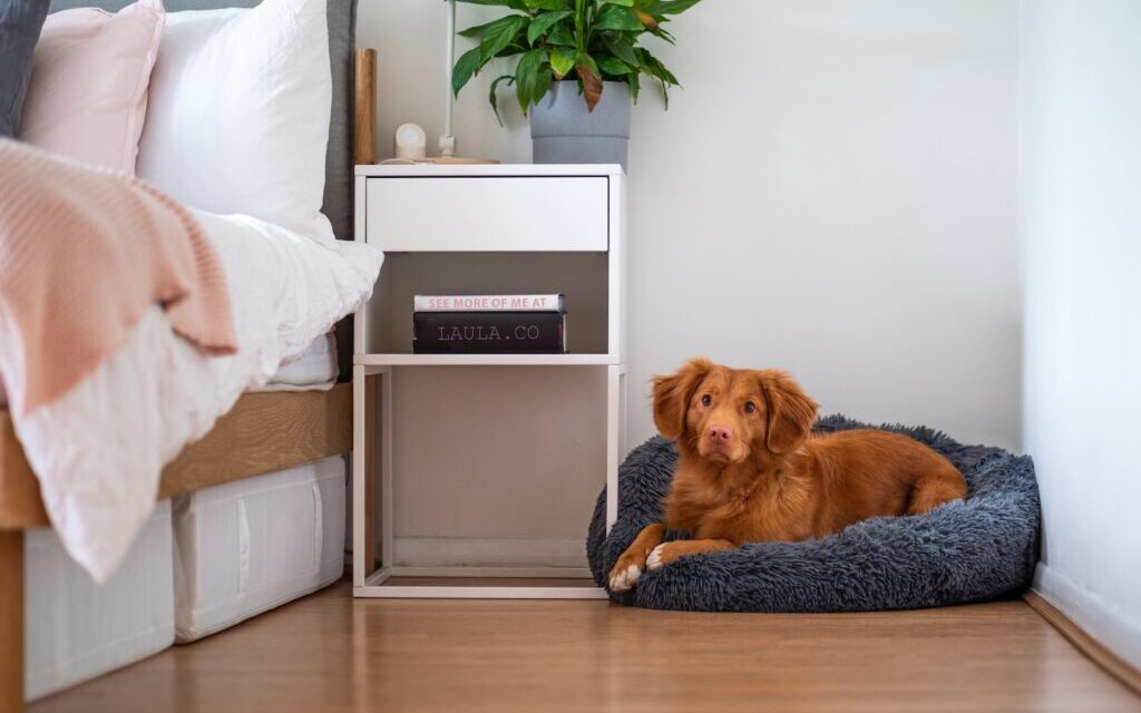 The Complete Guide to Laminate Floor Installation