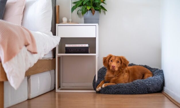 The Complete Guide to Laminate Floor Installation