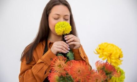 Which blooms to choose for saying sorry?