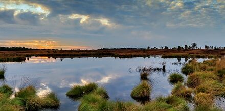 What is World Wetlands Day 2024?