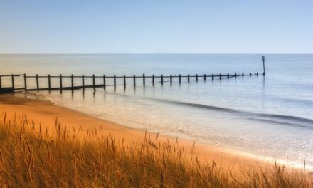What is there to do with kids in the South West of England?