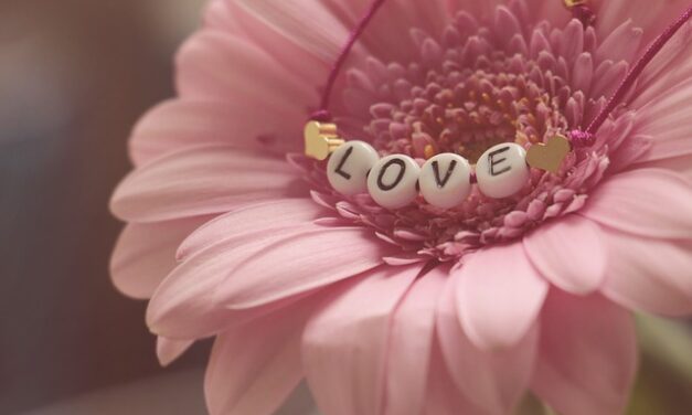 Here are some gift ideas for Mothers Day