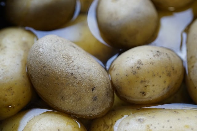 How are Potatoes Made in the UK?