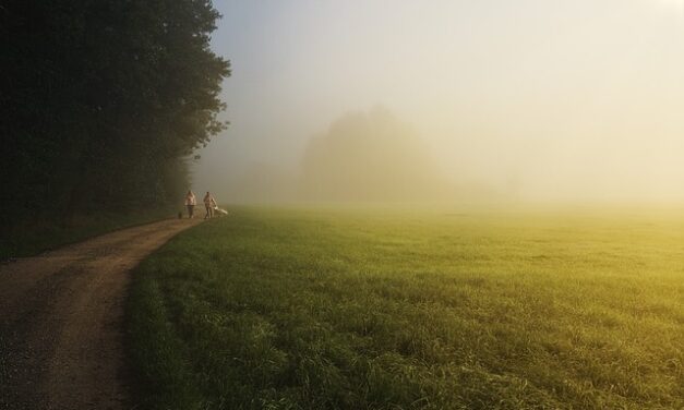 Where to go for nice walk with the Dog if your away for the Weekend in East Midlands?