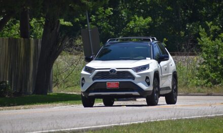 What are the best Cars to buy for small family?