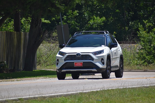 What are the best Cars to buy for small family?